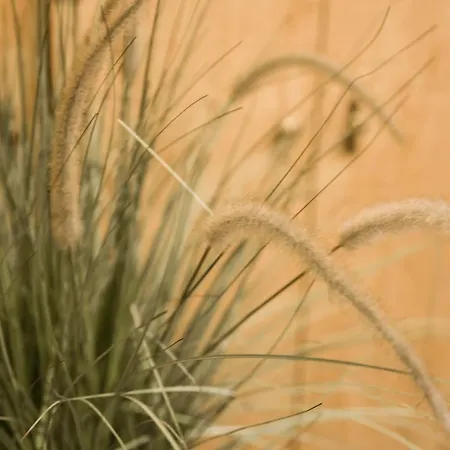 Ragip Pasha Apart-hotel Istambul