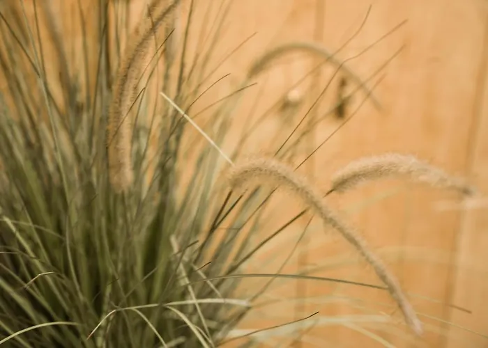 Ragip Pasha Lägenhetshotell Istanbul